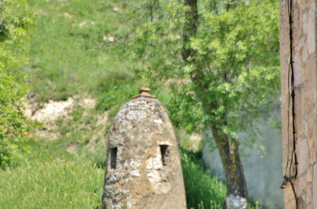 Foto: Bodega - Caleruega (Burgos), España