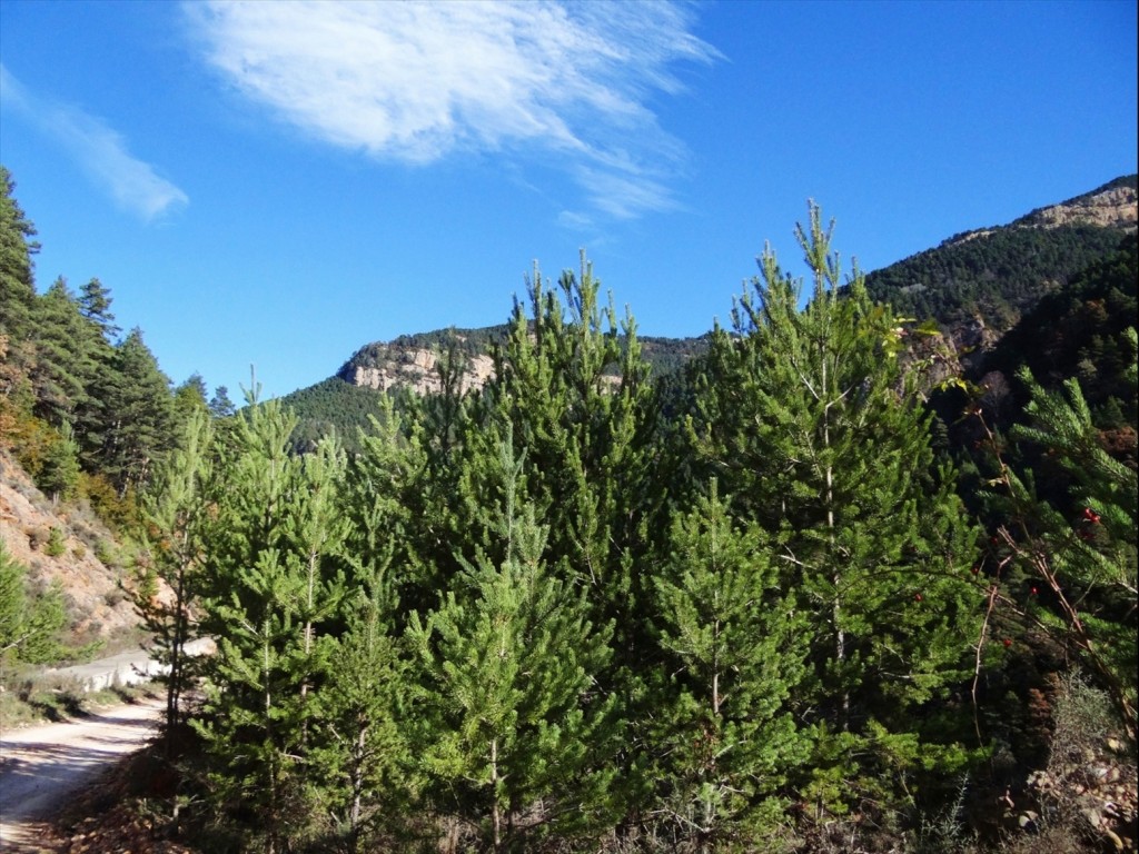 Foto: Camí dels Bons Homes - Gósol (Lleida), España