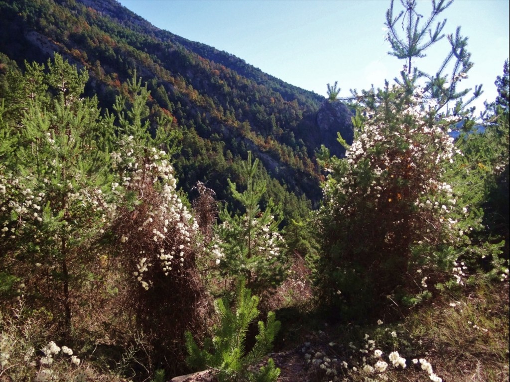 Foto: Camí dels Bons Homes - Gósol (Lleida), España