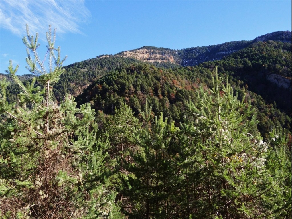 Foto: Camí dels Bons Homes - Gósol (Lleida), España