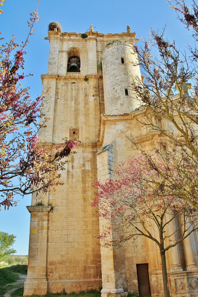 Foto: Iglesia de Santa Águeda - Sotillo de la Ribera (Burgos), España