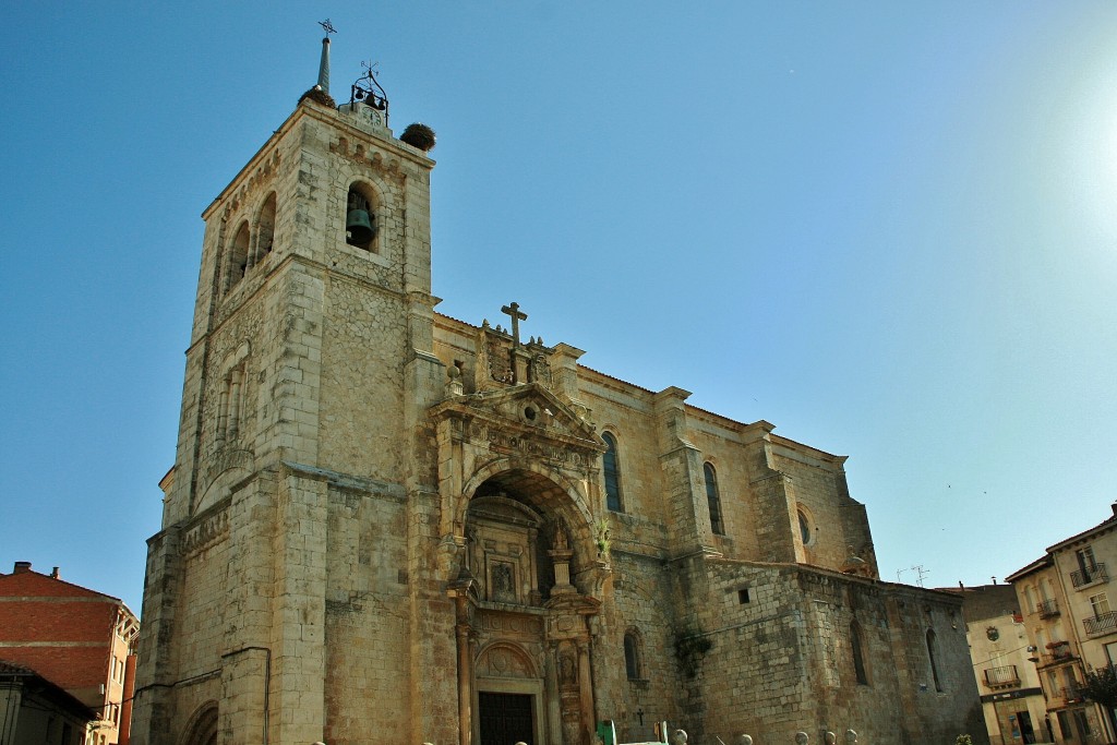 Foto: Iglesia de la Asunción - Roa (Burgos), España