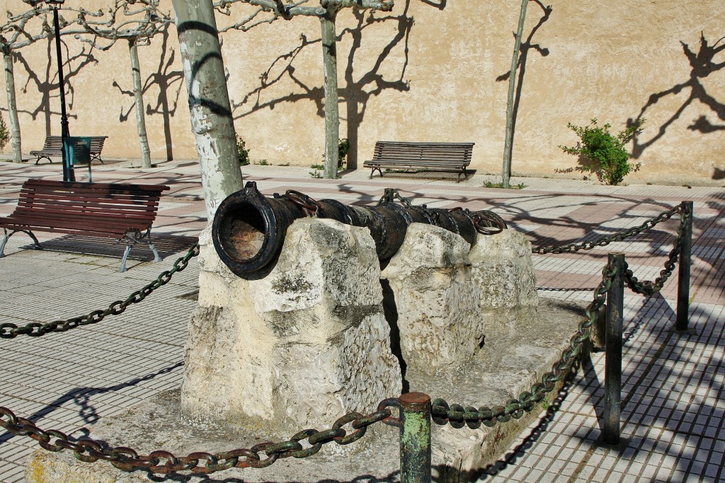 Foto: Paseo del Espolón - Roa (Burgos), España