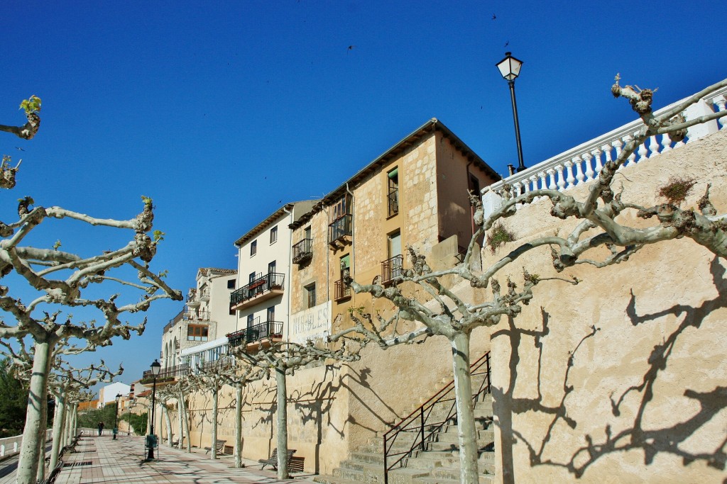 Foto: Paseo del Espolón - Roa (Burgos), España