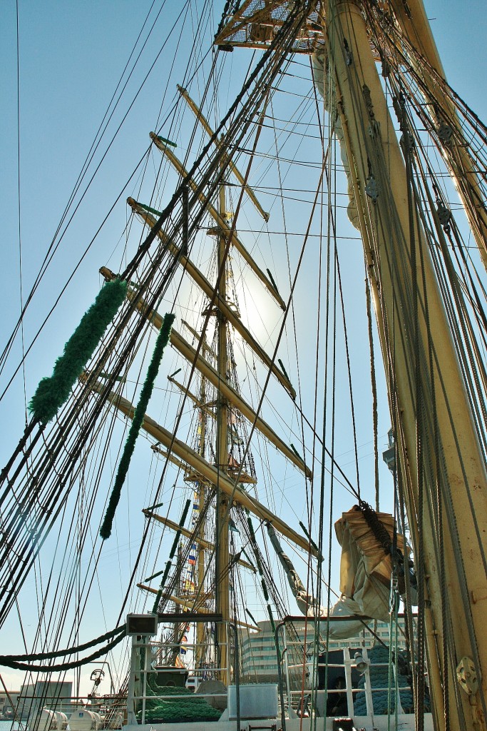 Foto: Puerto: reunión de veleros - Barcelona (Cataluña), España