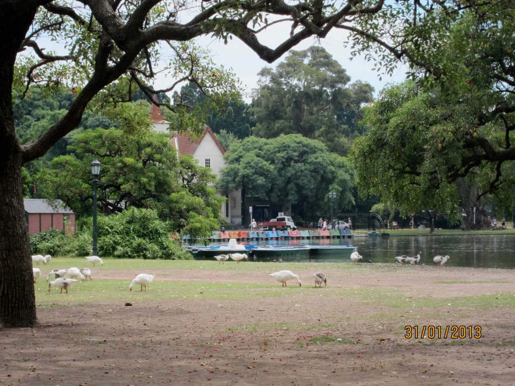 Foto: Parque Tres de Febrero - Ciudad Autónoma de Buenos Aires (Buenos Aires), Argentina