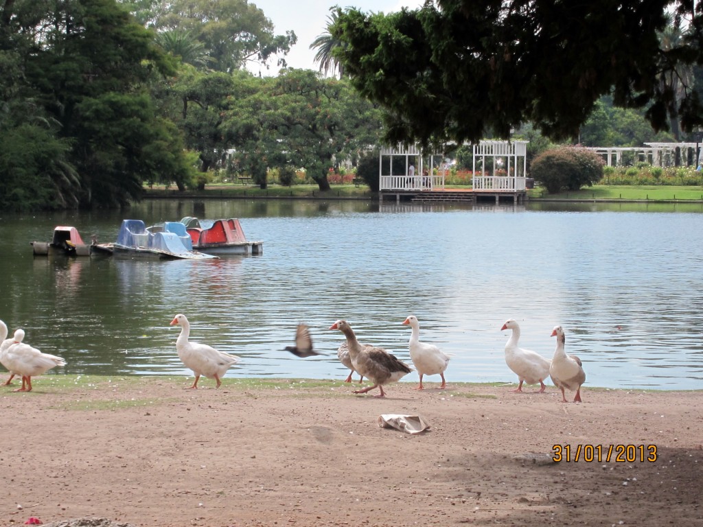 Foto: Parque Tres de Febrero - Ciudad Autónoma de Buenos Aires (Buenos Aires), Argentina