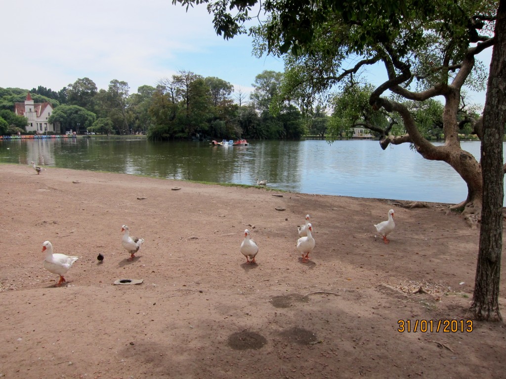 Foto: Parque Tres de Febrero - Ciudad Autónoma de Buenos Aires (Buenos Aires), Argentina