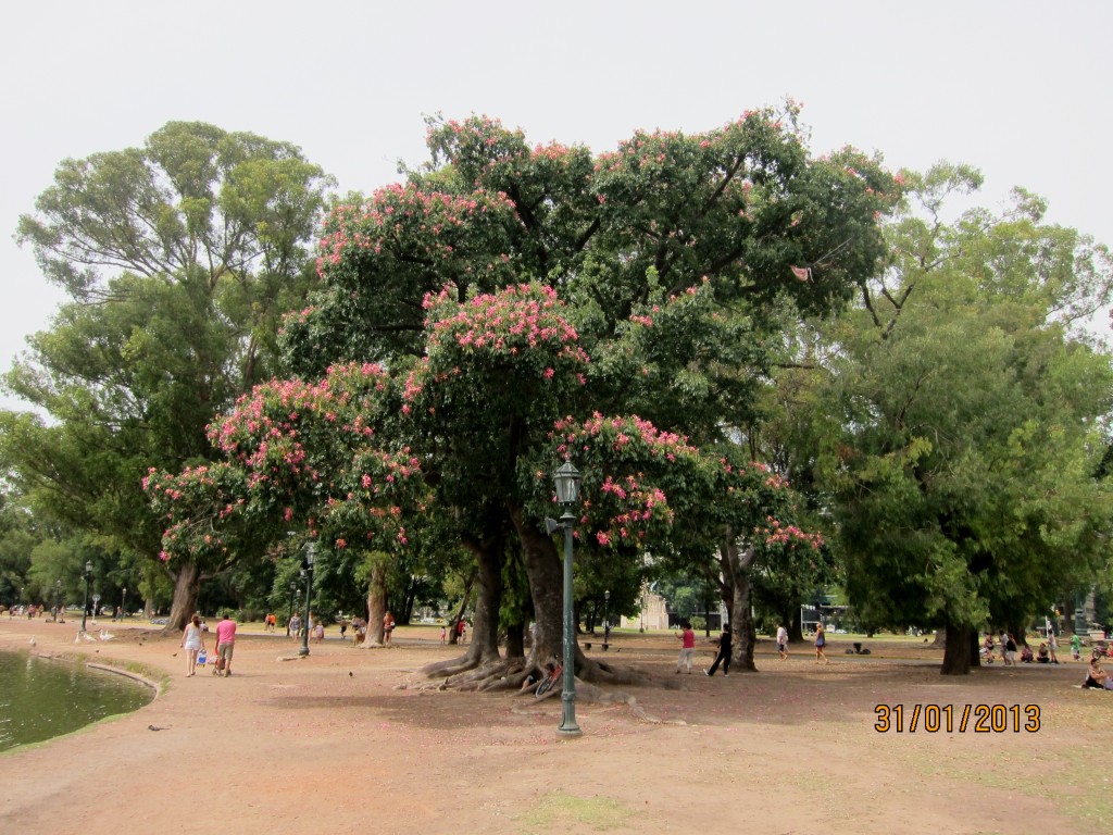 Foto: Parque Tres de Febrero - Ciudad Autónoma de Buenos Aires (Buenos Aires), Argentina