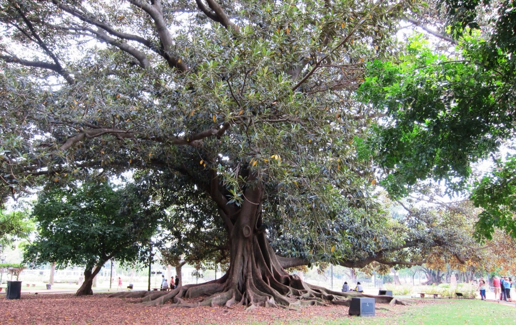 Foto: Parque Tres de Febrero - Ciudad Autónoma de Buenos Aires (Buenos Aires), Argentina