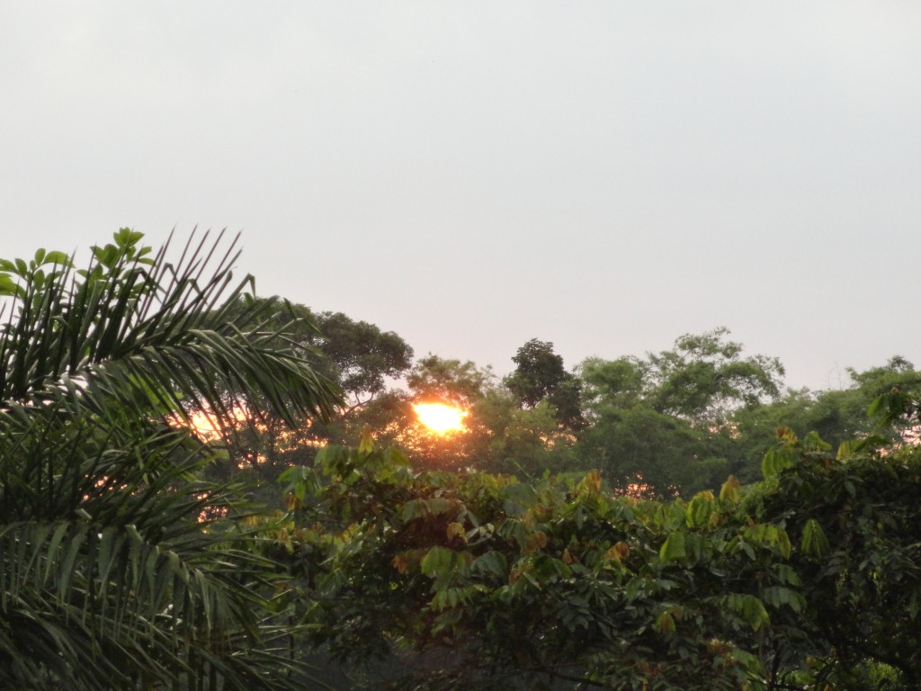 Foto: Amanecer - Shell (Pastaza), Ecuador