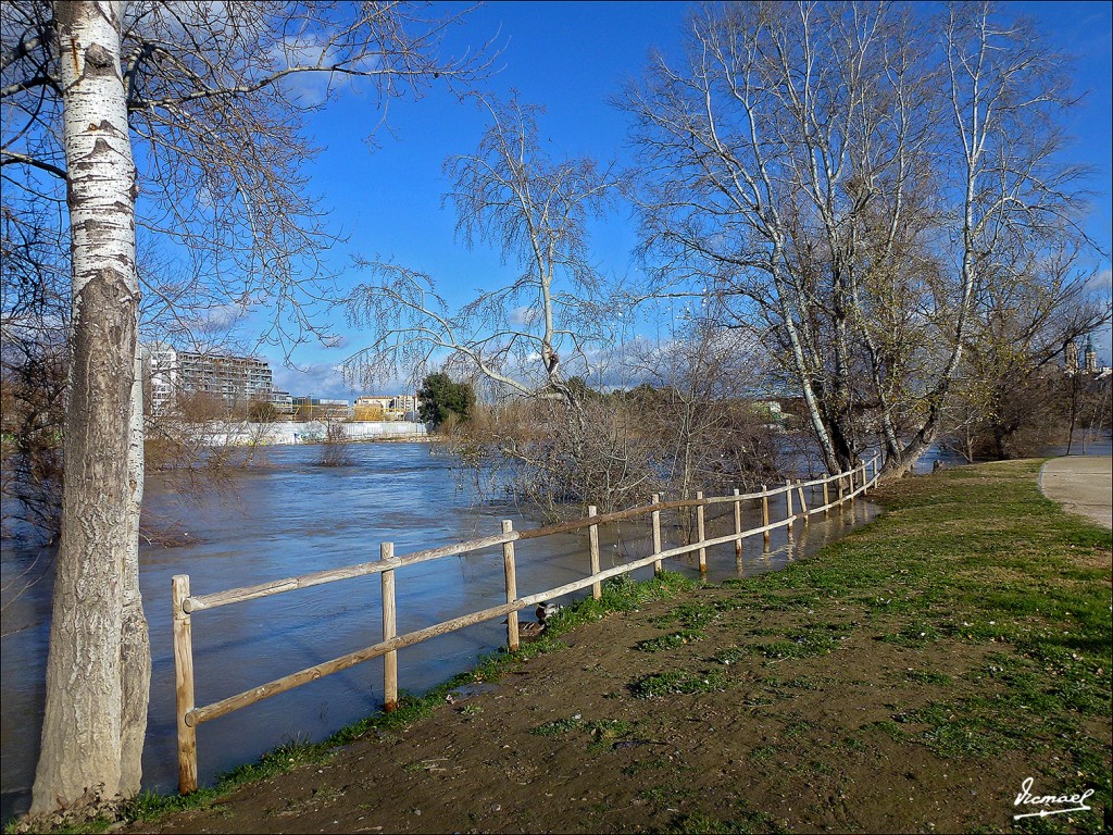 Foto: 130209-03 RIADA DEL EBRO - Zaragoza (Aragón), España