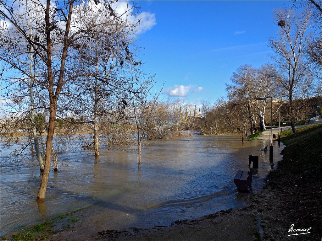 Foto: 130209-05 RIADA DEL EBRO - Zaragoza (Aragón), España