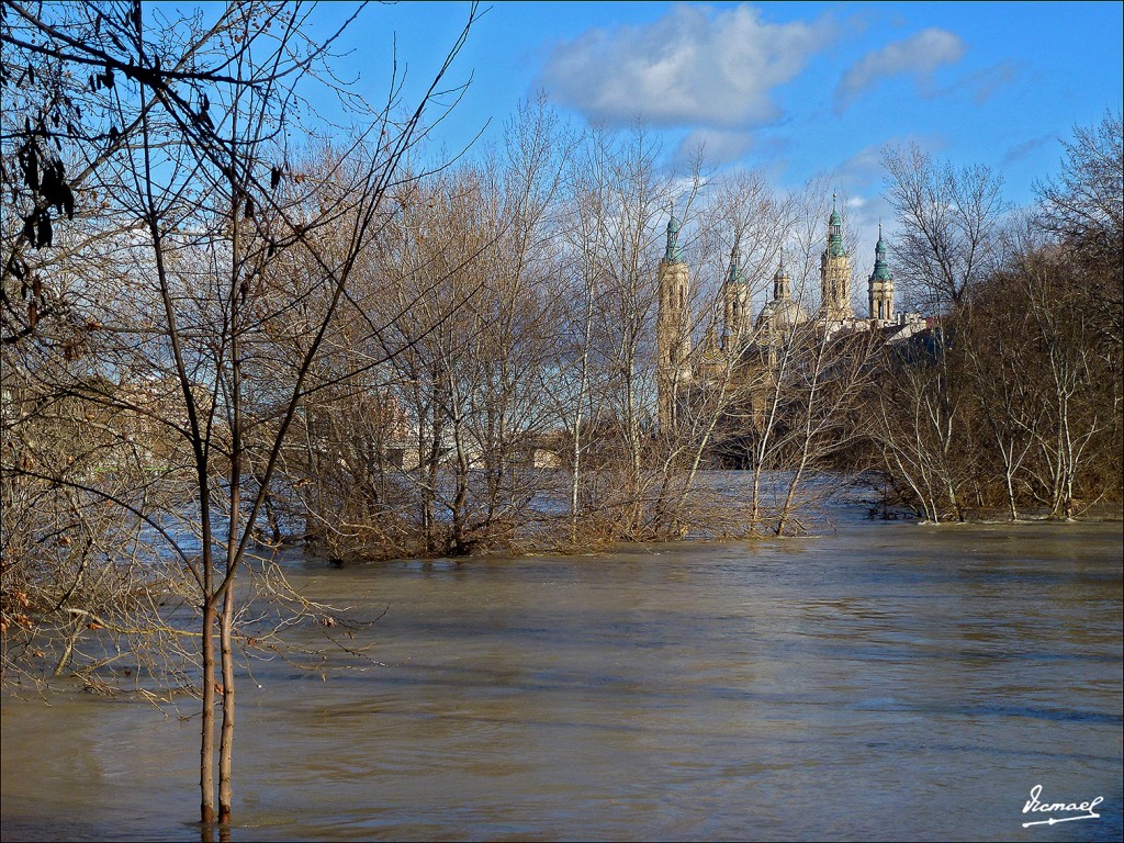 Foto: 130209-06 RIADA DEL EBRO - Zaragoza (Aragón), España