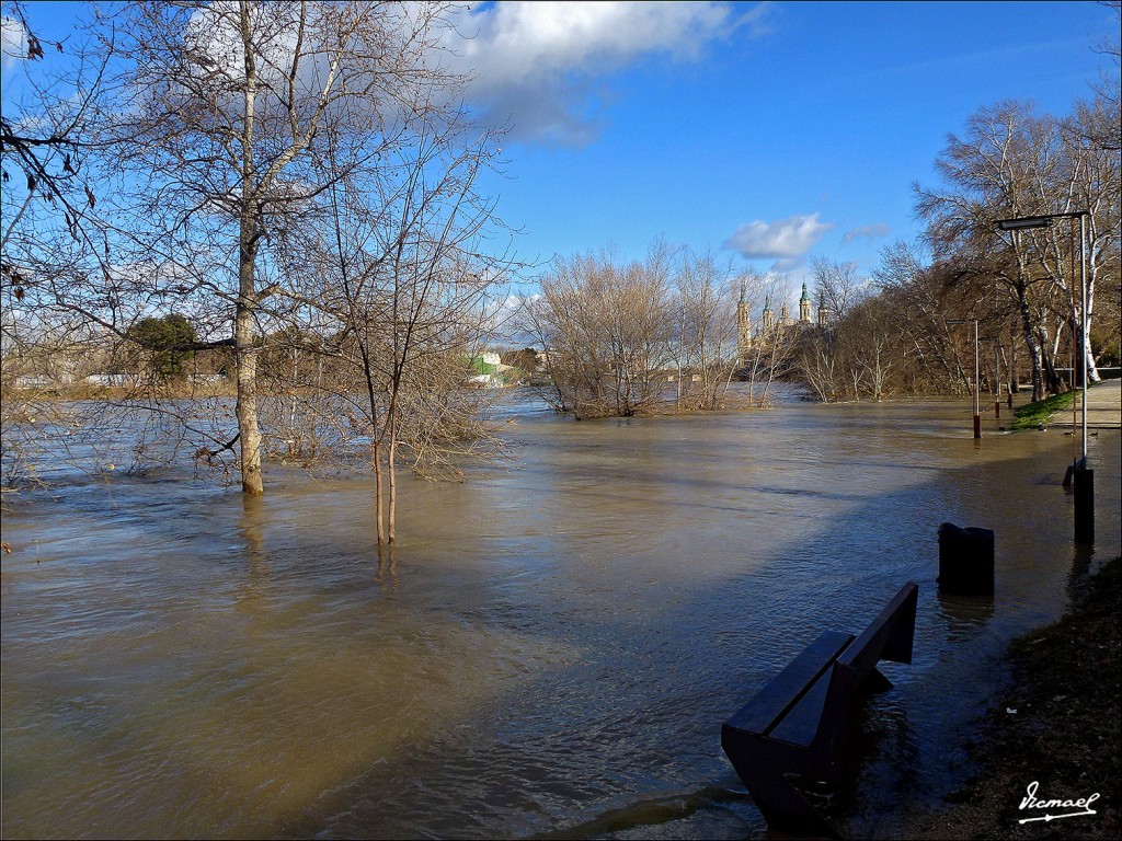 Foto: 130209-07 RIADA DEL EBRO - Zaragoza (Aragón), España