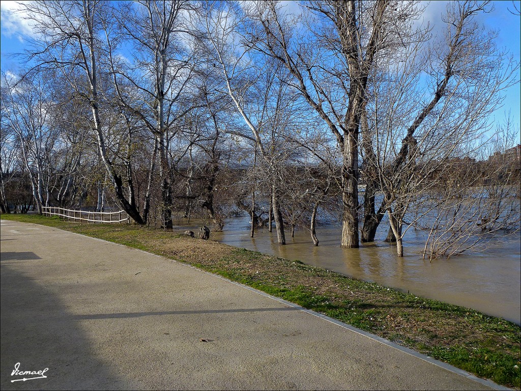 Foto: 130209-08 RIADA DEL EBRO - Zaragoza (Aragón), España