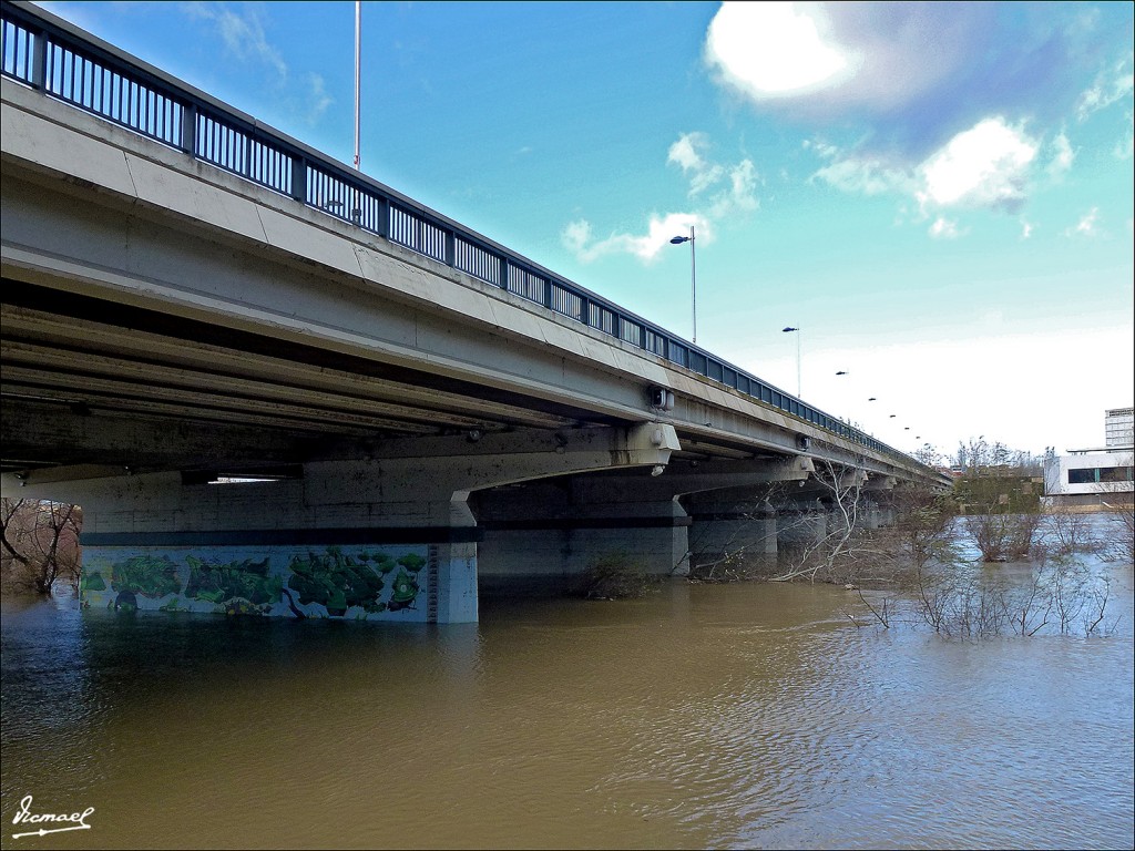 Foto: 130209-11 RIADA DEL EBRO - Zaragoza (Aragón), España