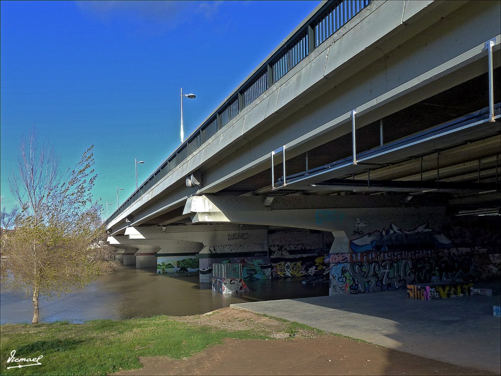 Foto: 130209-14 RIADA DEL EBRO - Zaragoza (Aragón), España