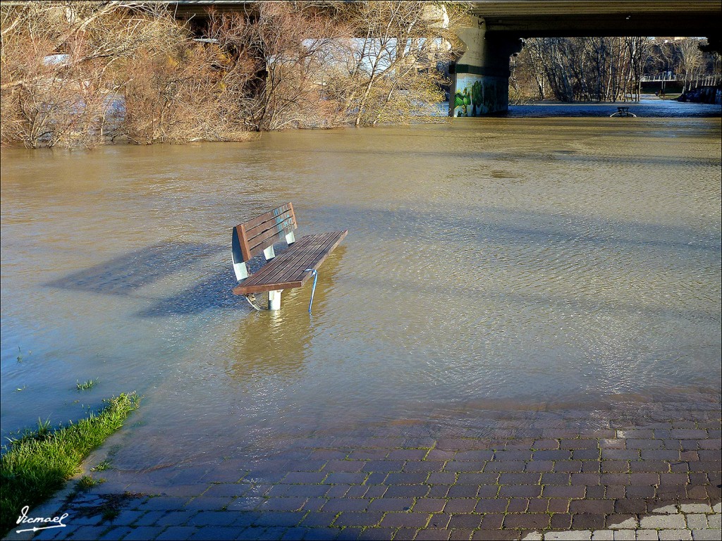 Foto: 130209-20 RIADA DEL EBRO - Zaragoza (Aragón), España