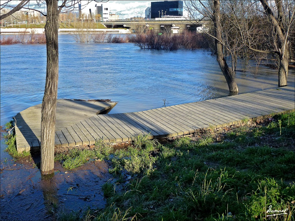 Foto: 130209-21 RIADA DEL EBRO - Zaragoza (Aragón), España