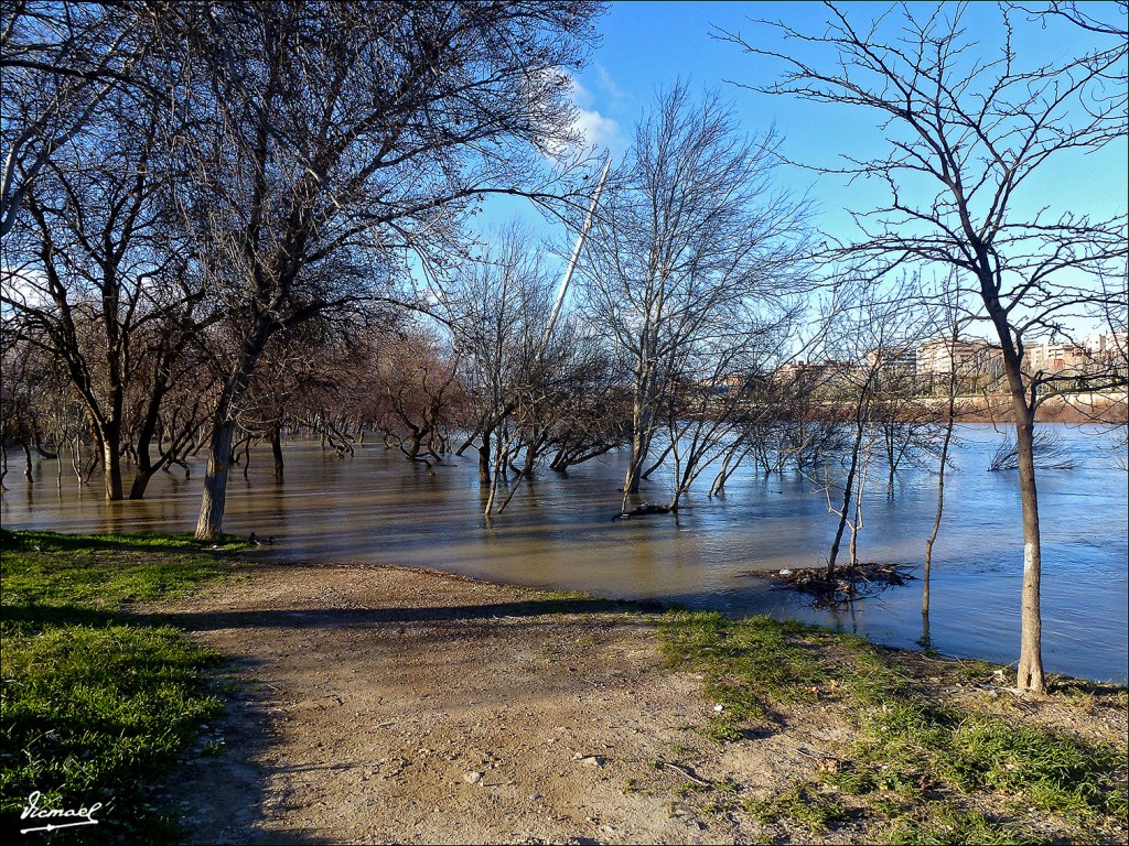 Foto: 130209-23 RIADA DEL EBRO - Zaragoza (Aragón), España