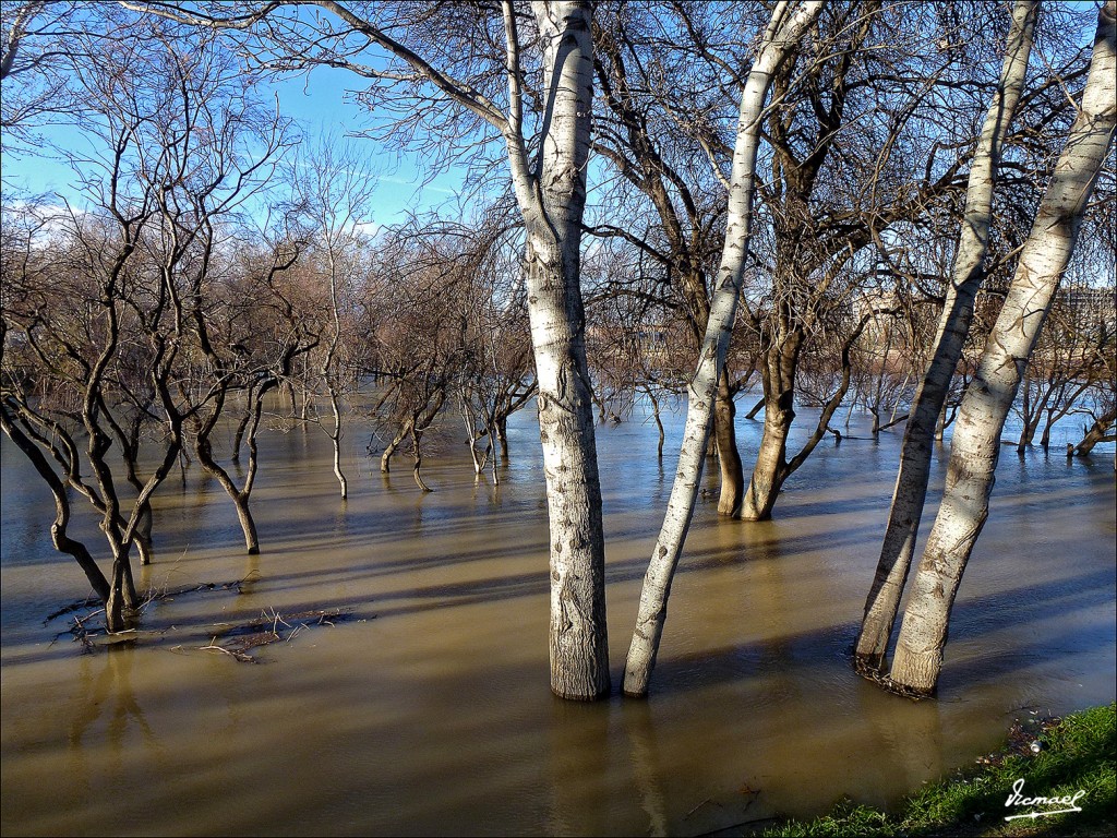 Foto: 130209-24 RIADA DEL EBRO - Zaragoza (Aragón), España