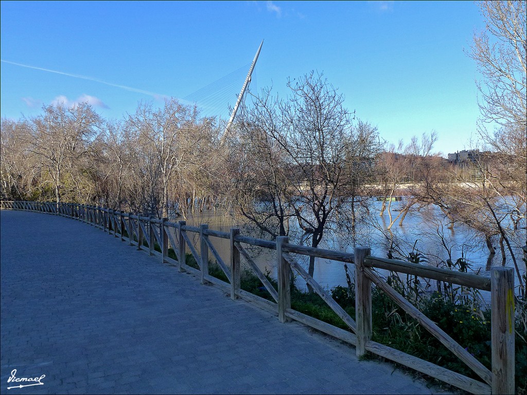 Foto: 130209-25 RIADA DEL EBRO - Zaragoza (Aragón), España