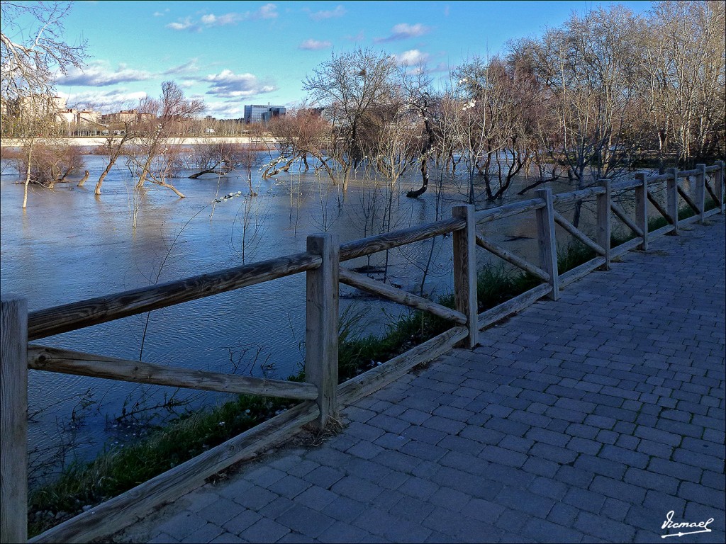 Foto: 130209-26 RIADA DEL EBRO - Zaragoza (Aragón), España