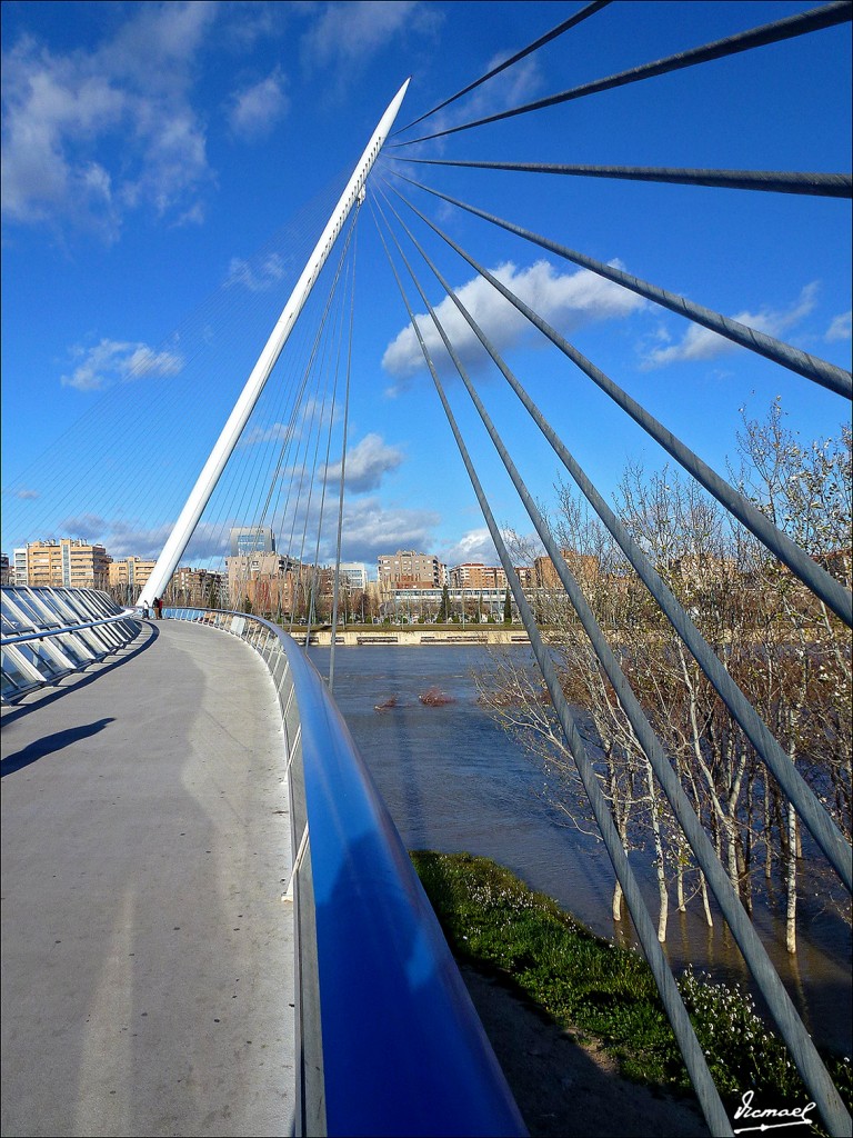 Foto: 130209-30 RIADA DEL EBRO - Zaragoza (Aragón), España