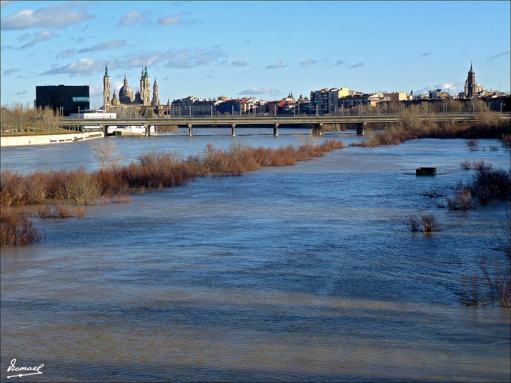 Foto: 130209-34 RIADA DEL EBRO - Zaragoza (Aragón), España