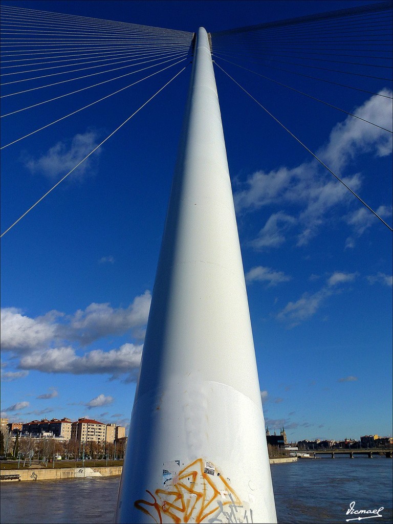 Foto: 130209-38 RIADA DEL EBRO - Zaragoza (Aragón), España