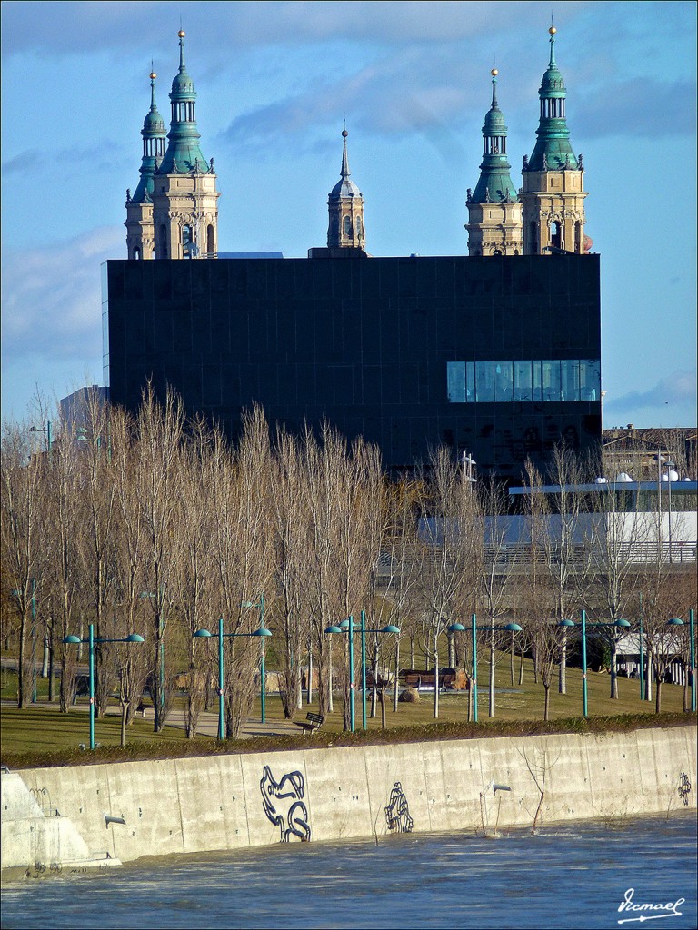 Foto: 130209-39 RIADA DEL EBRO - Zaragoza (Aragón), España