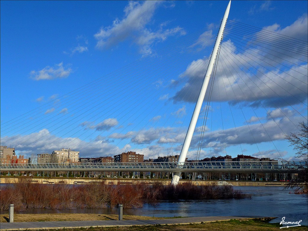 Foto: 130209-41 RIADA DEL EBRO - Zaragoza (Aragón), España