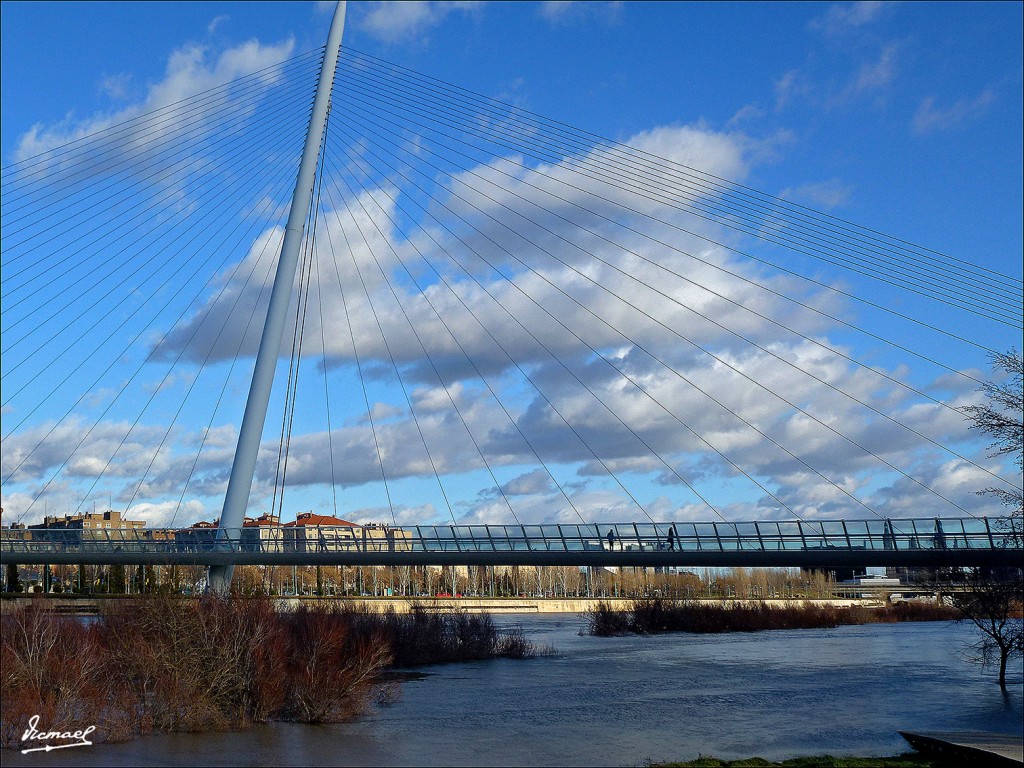 Foto: 130209-42 RIADA DEL EBRO - Zaragoza (Aragón), España