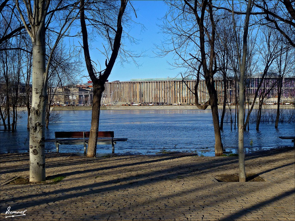 Foto: 130209-45 RIADA DEL EBRO - Zaragoza (Aragón), España