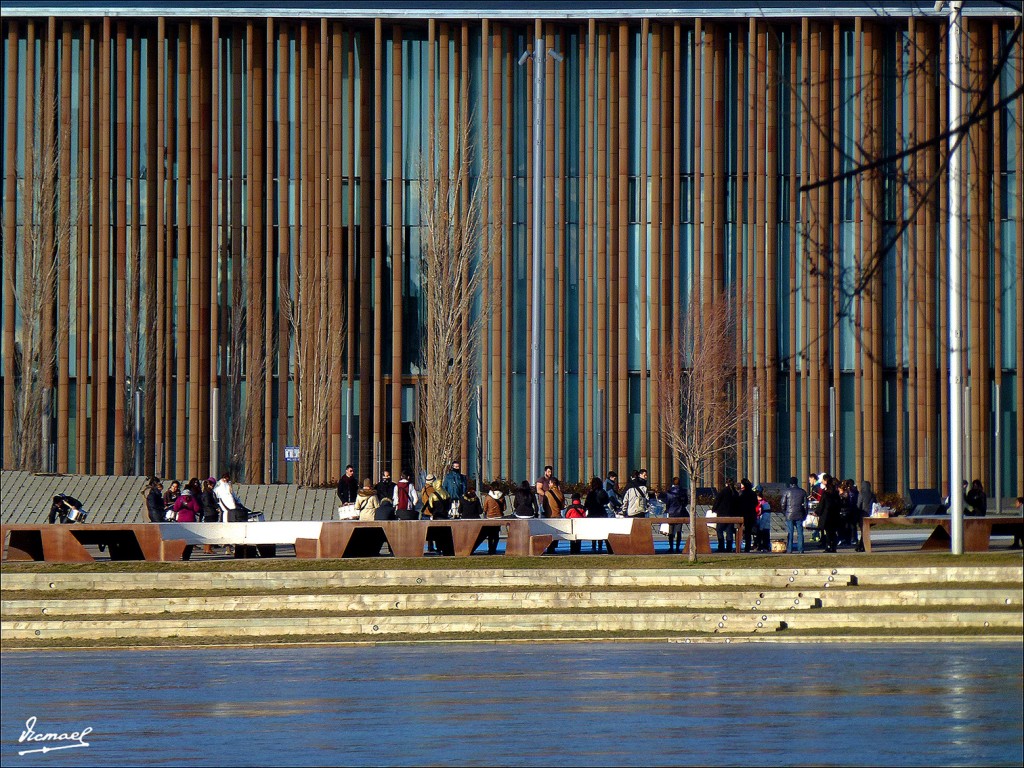 Foto: 130209-46 RIADA DEL EBRO - Zaragoza (Aragón), España