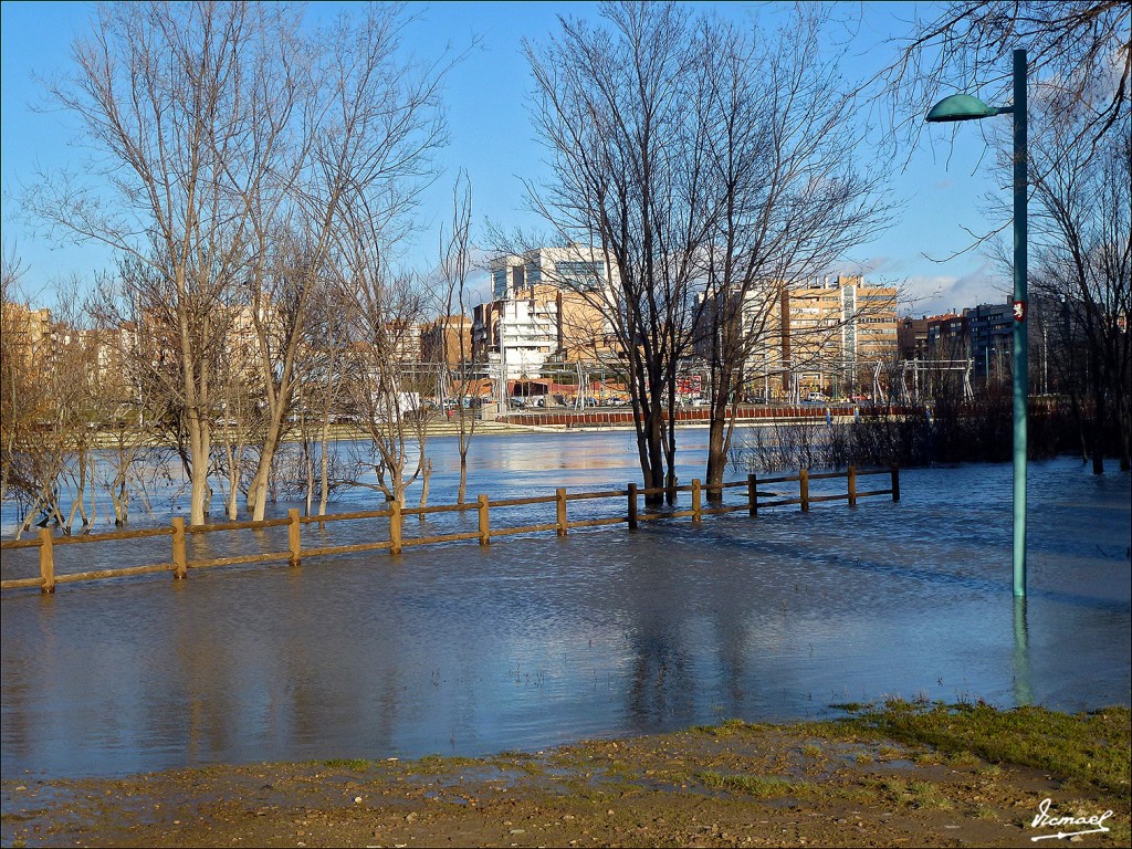 Foto: 130209-47 RIADA DEL EBRO - Zaragoza (Aragón), España