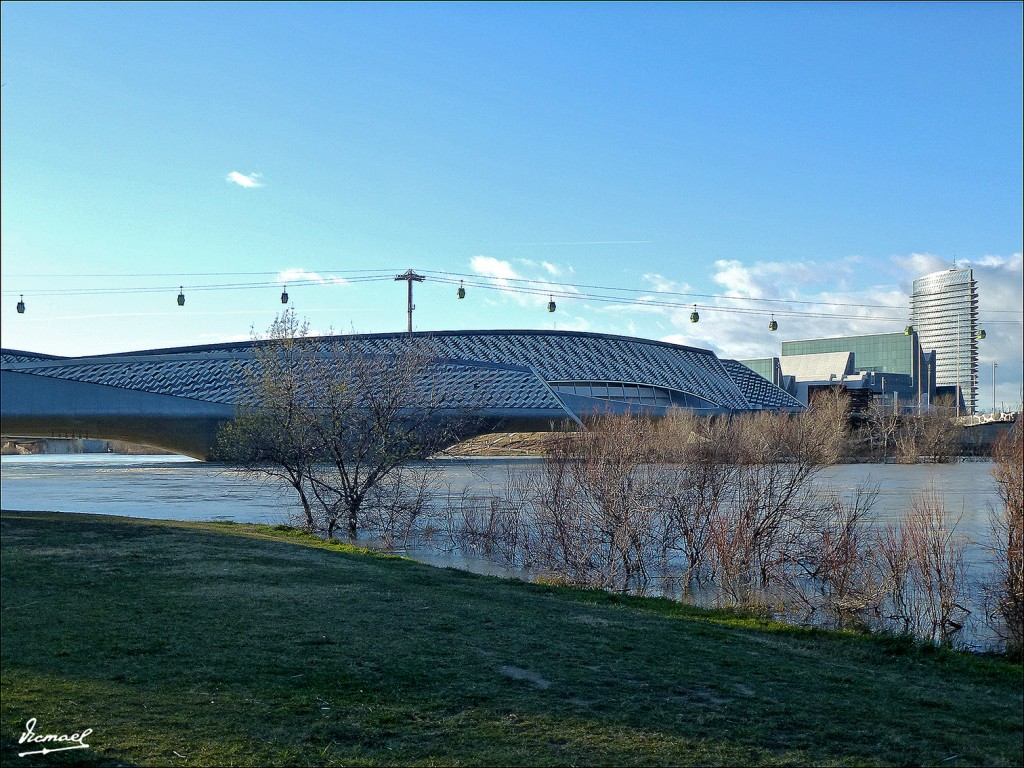 Foto: 130209-49 RIADA DEL EBRO - Zaragoza (Aragón), España