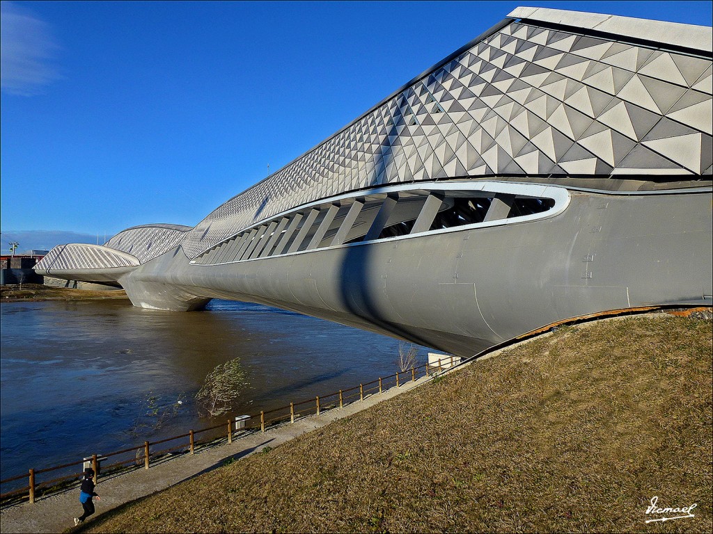 Foto: 130209-54 RIADA DEL EBRO - Zaragoza (Aragón), España