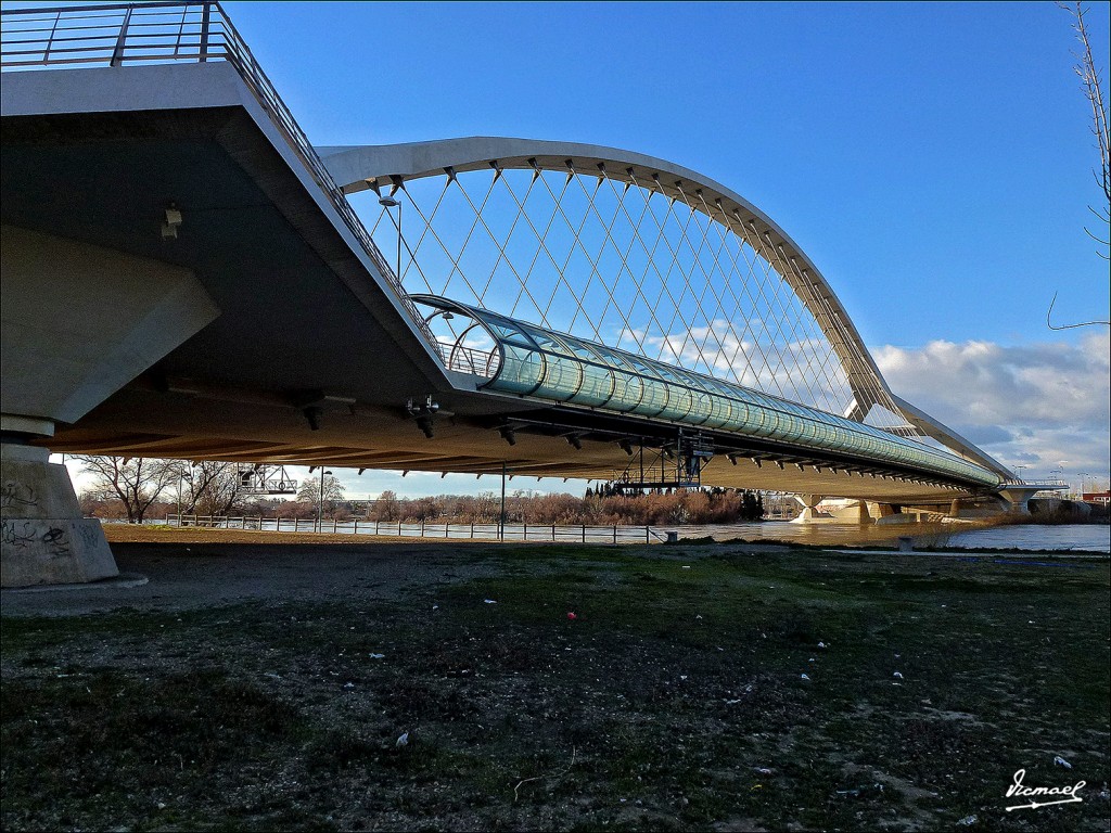 Foto: 130209-59 RIADA DEL EBRO - Zaragoza (Aragón), España