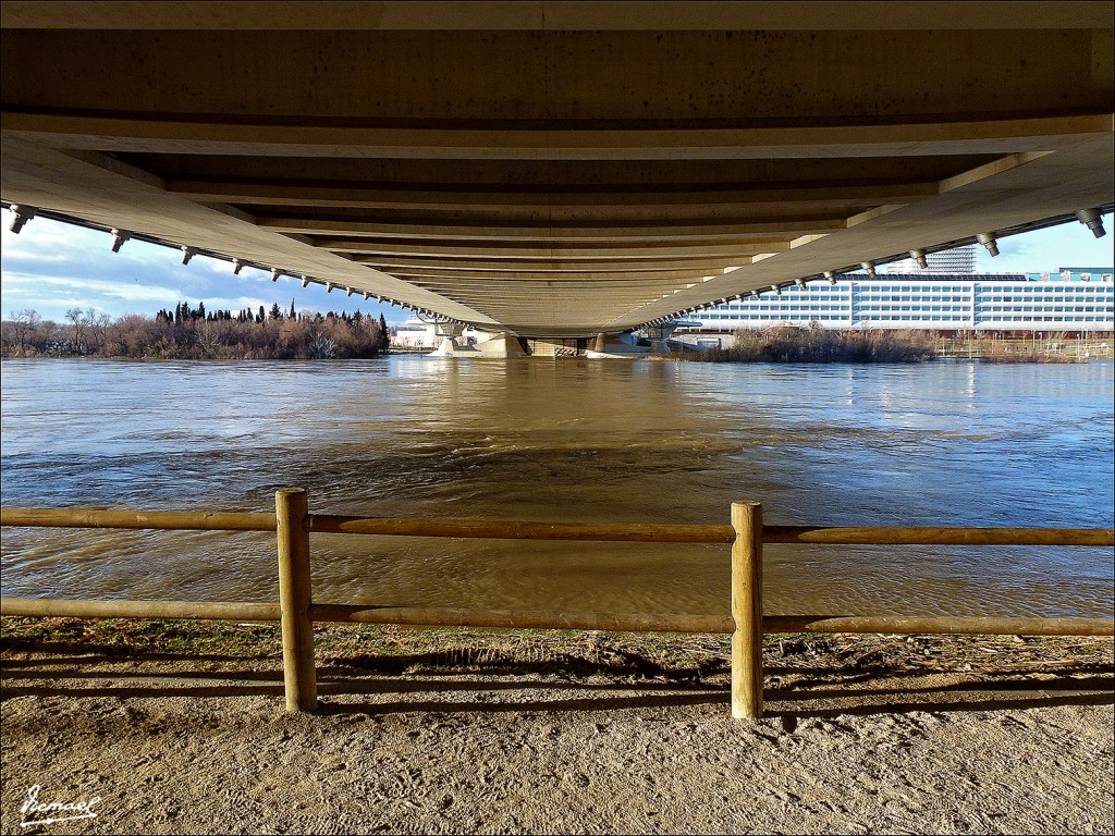 Foto: 130209-61 RIADA DEL EBRO - Zaragoza (Aragón), España