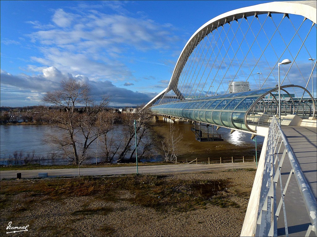 Foto: 130209-70 RIADA DEL EBRO - Zaragoza (Aragón), España