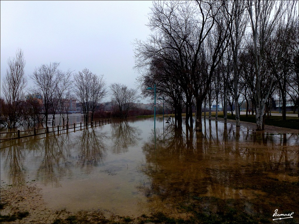 Foto: 130217-01 RIO EBRO - Zaragoza (Aragón), España