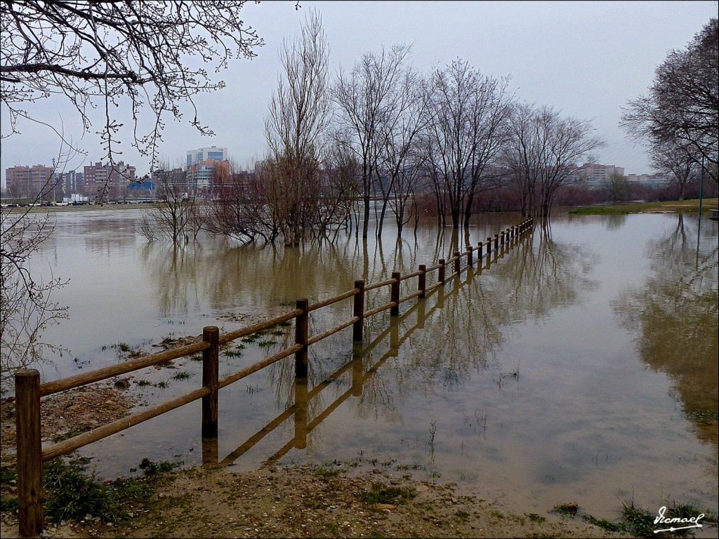 Foto: 130217-02 RIO EBRO 2 - Zaragoza (Aragón), España