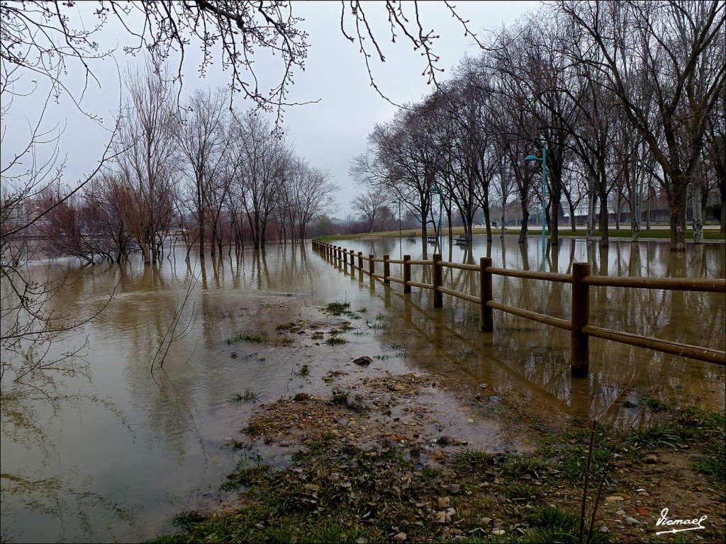 Foto: 130217-03 RIO EBRO - Zaragoza (Aragón), España