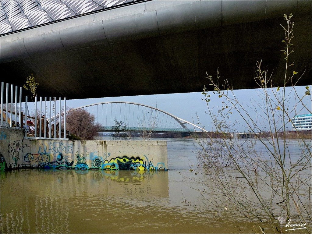 Foto: 130217-13 PABELLON PUENTE - Zaragoza (Aragón), España