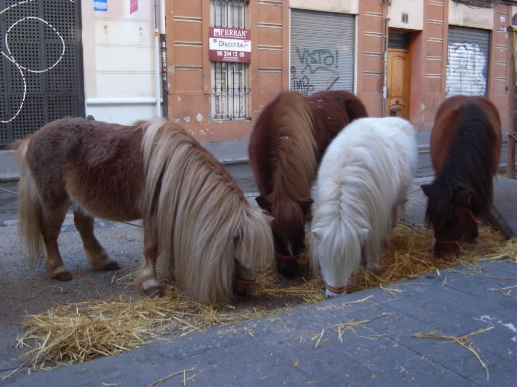 Foto: Poneys - Valencia (València), España