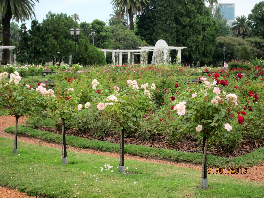 Foto: Parque Tres de Febrero. Rosedal. - Ciudad Autónoma de Buenos Aires (Buenos Aires), Argentina