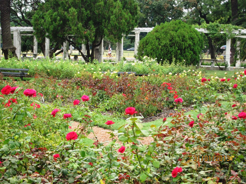 Foto: Parque Tres de Febrero. Rosedal. - Ciudad Autónoma de Buenos Aires (Buenos Aires), Argentina