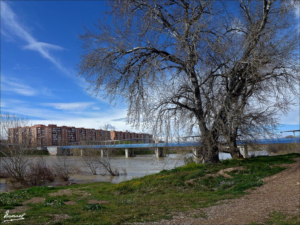 Foto: 130310-18 AZUD LORENZO PARDO - Zaragoza (Aragón), España